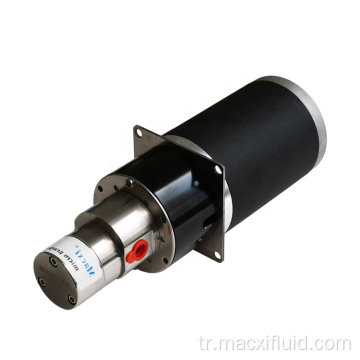 0.6 ml/devir mürekkepleri mikro manyetik tahrik dişli pompası